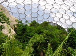 The world-famous Eden project is 15 minutes drive from Coriander Cottages