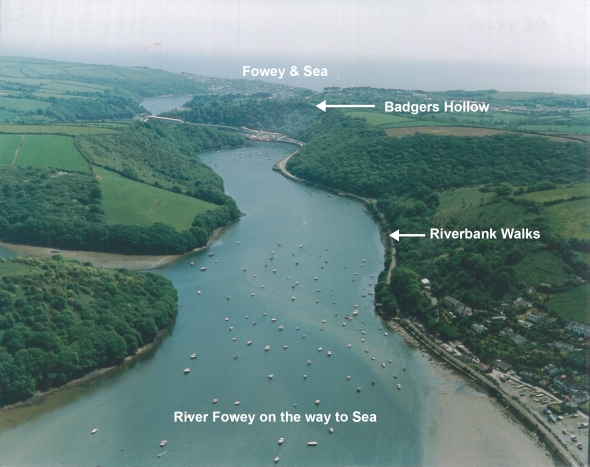 Map of the Fowey estuary