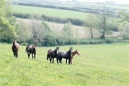 Views from the luxury eco barn is stunning